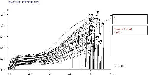 同一被検者の毛髪引張試験結果