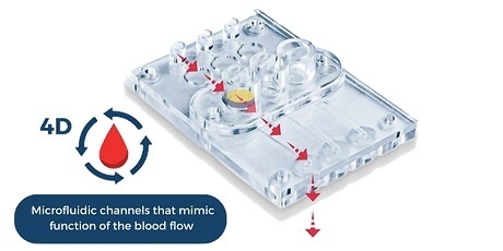 4Dスキンチップ用微小流体