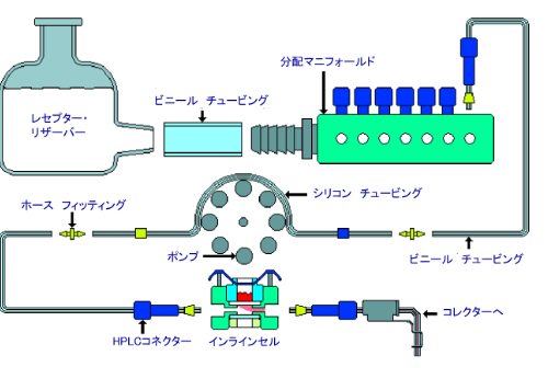 経皮吸収試験システムの構造