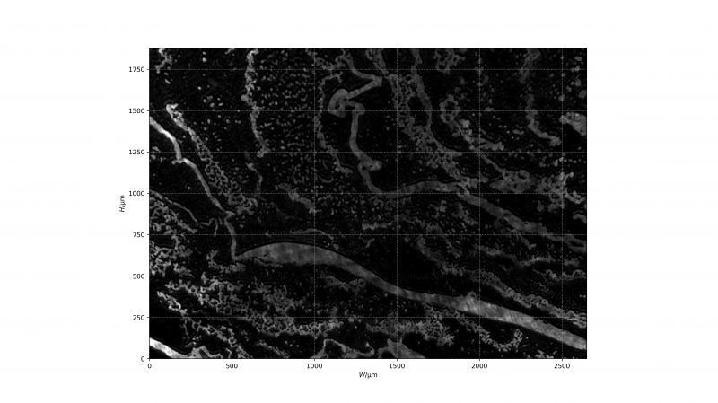 気/液界面上の単分子膜の観察