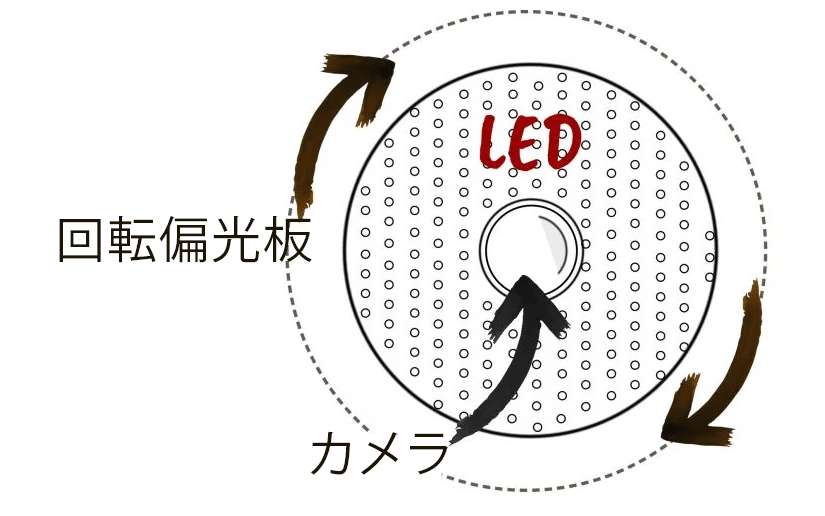 回転偏光板