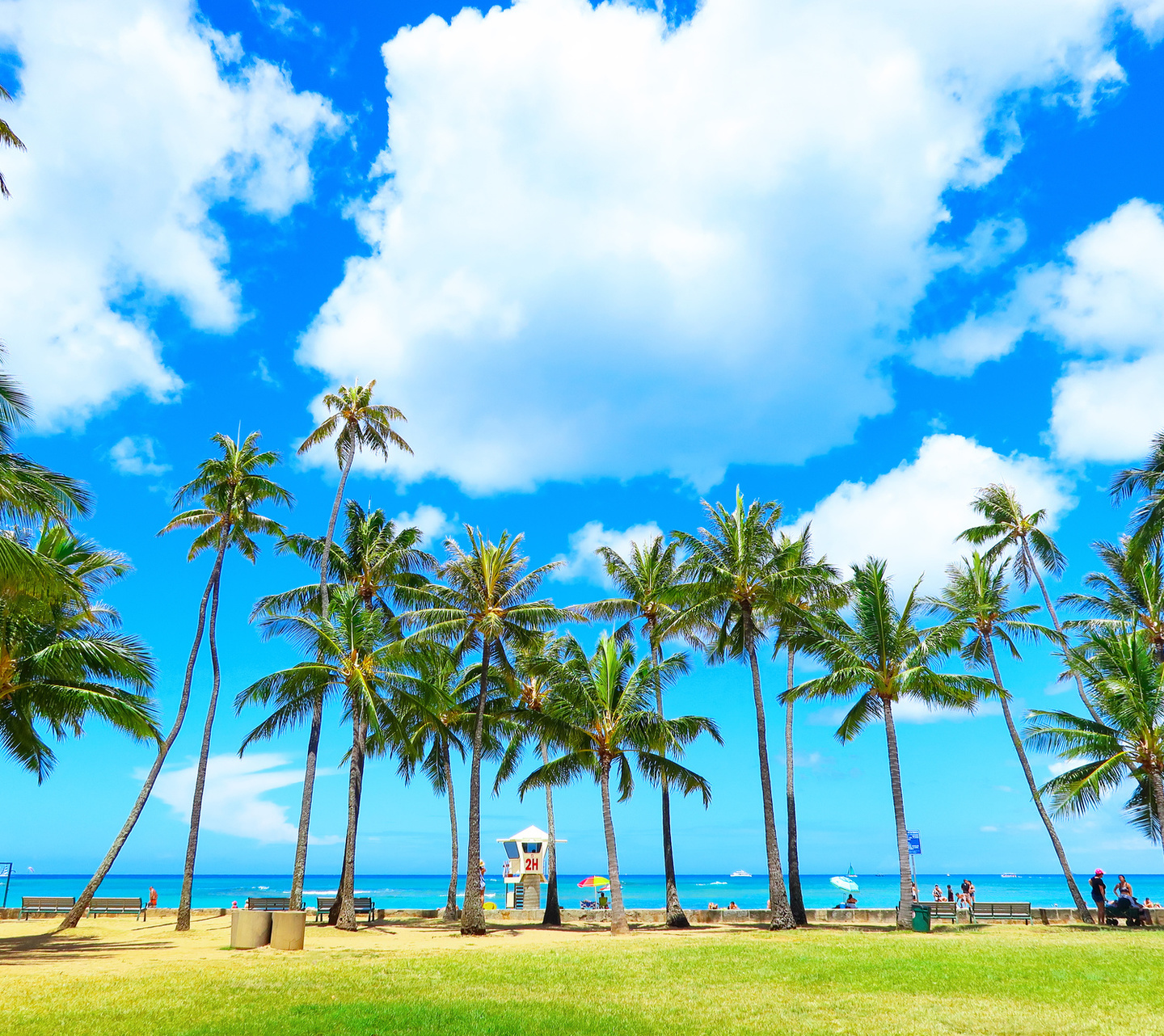 夏の海