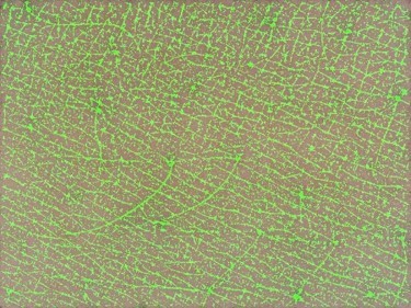 汚染粒子の検出や洗顔の残存物の定量化