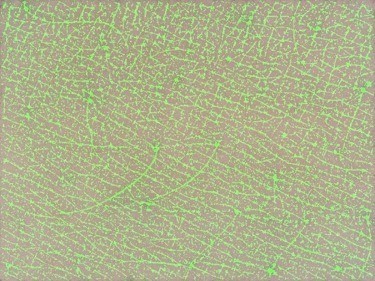 汚染粒子の検出や洗顔の残存物の定量化
