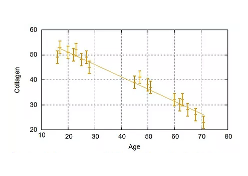 年齢別コラーゲンの推移